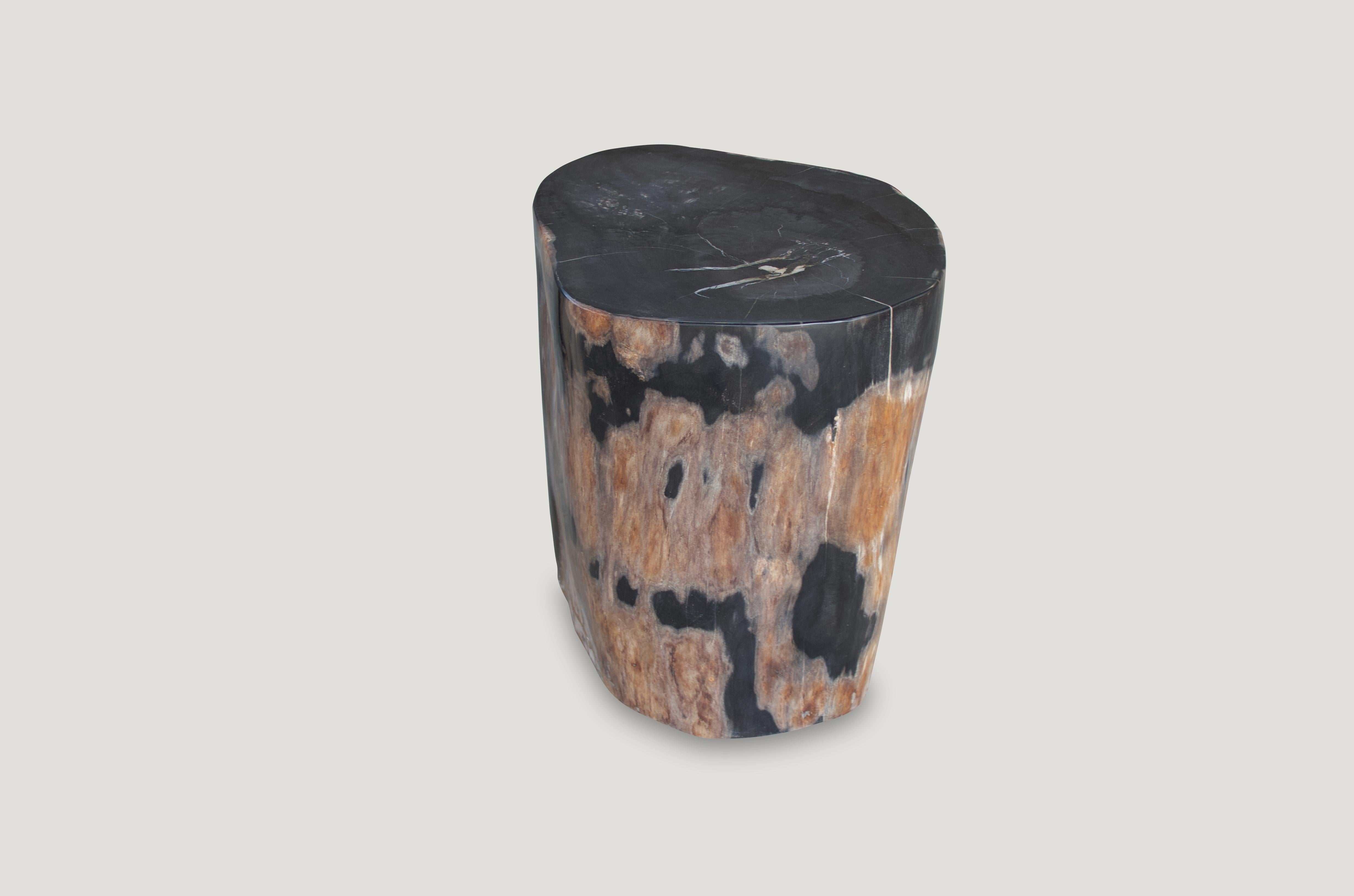 Stunning, contrasting tones on this super smooth, high quality petrified wood side table.

As with a diamond, we polish the highest quality fossilized petrified wood, using our latest ground breaking technology, to reveal its natural beauty and