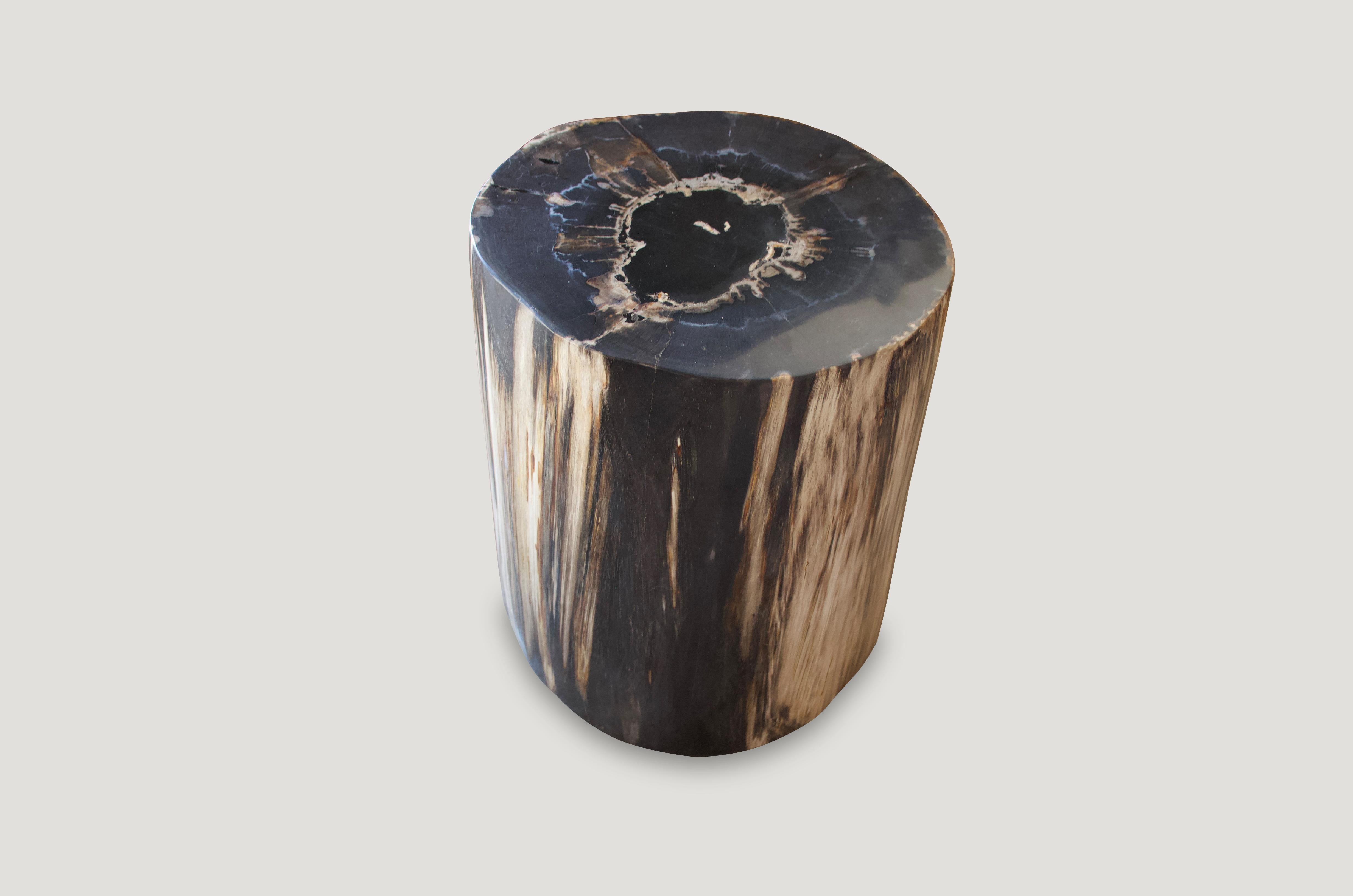 Stunning, contrasting tones on this super smooth, high quality petrified wood side table. We have a collection of five all cut from the same petrified log. The price reflects one.

As with a diamond, we polish the highest quality fossilized