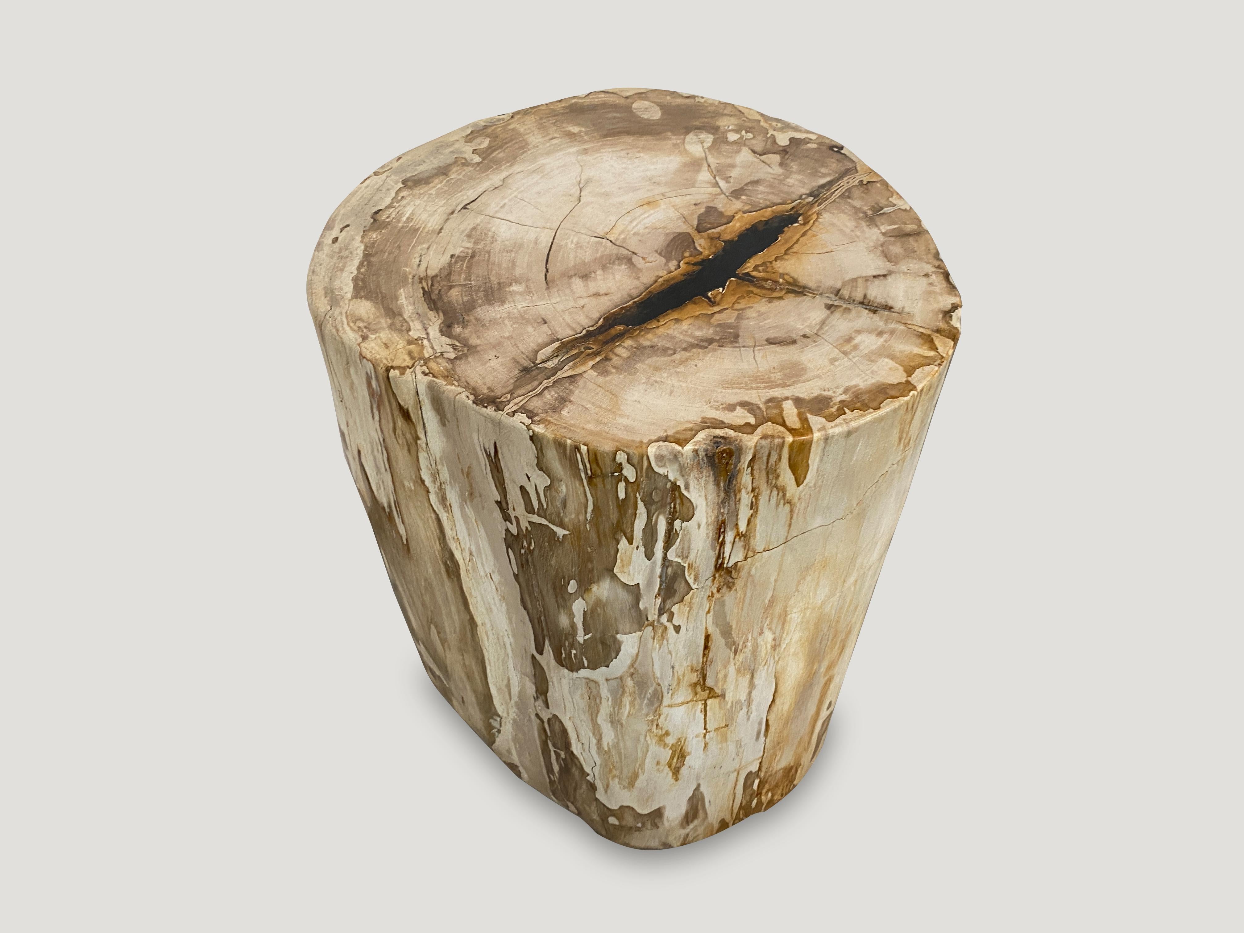 High quality petrified wood side table with a slice of resin added on the top. It’s fascinating how Mother Nature produces these stunning 40 million year old petrified teak logs with such contrasting colors with natural patterns throughout. Modern