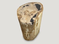 Andrianna Shamaris High Quality Petrified Wood Side Table