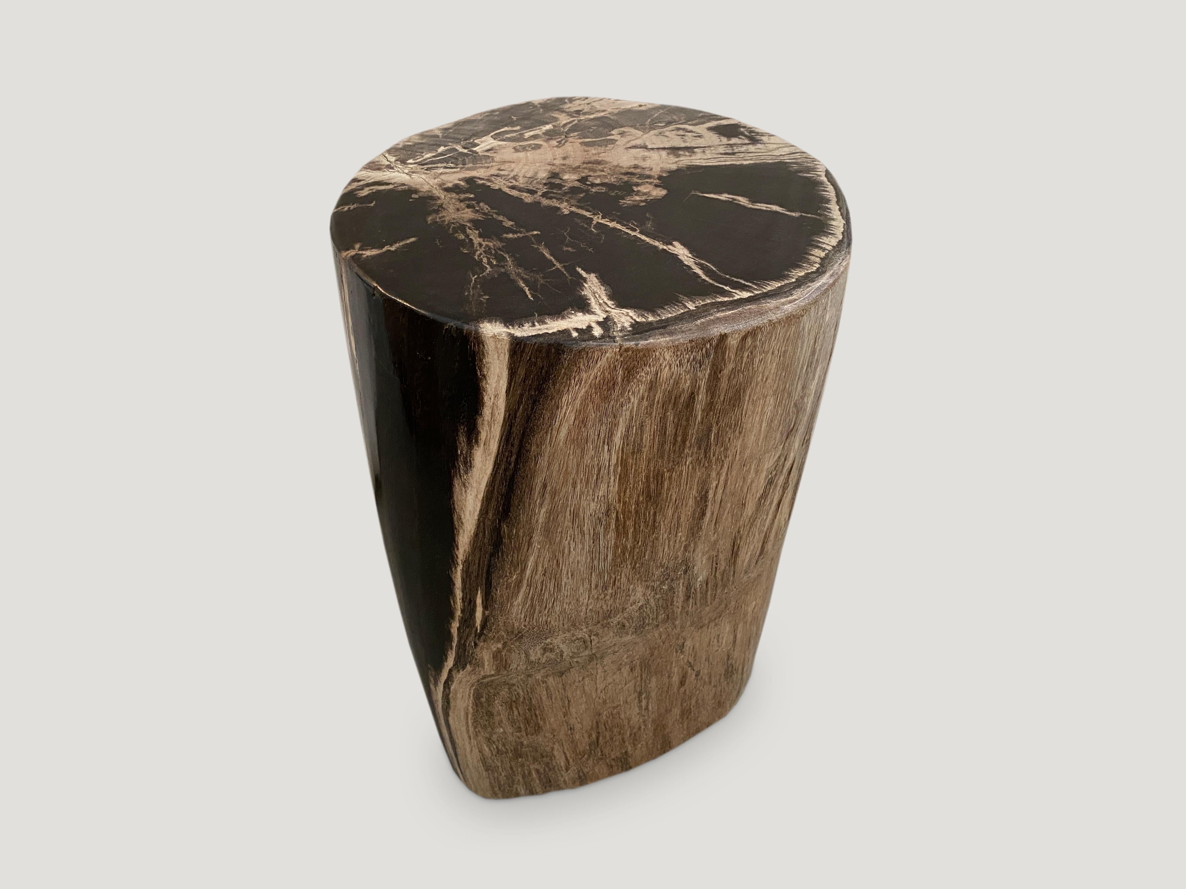Stunning earth tones on this high quality petrified wood side table. It’s fascinating how Mother Nature produces these exquisite 40 million year old petrified teak logs with such contrasting colors with natural patterns throughout. Modern yet with