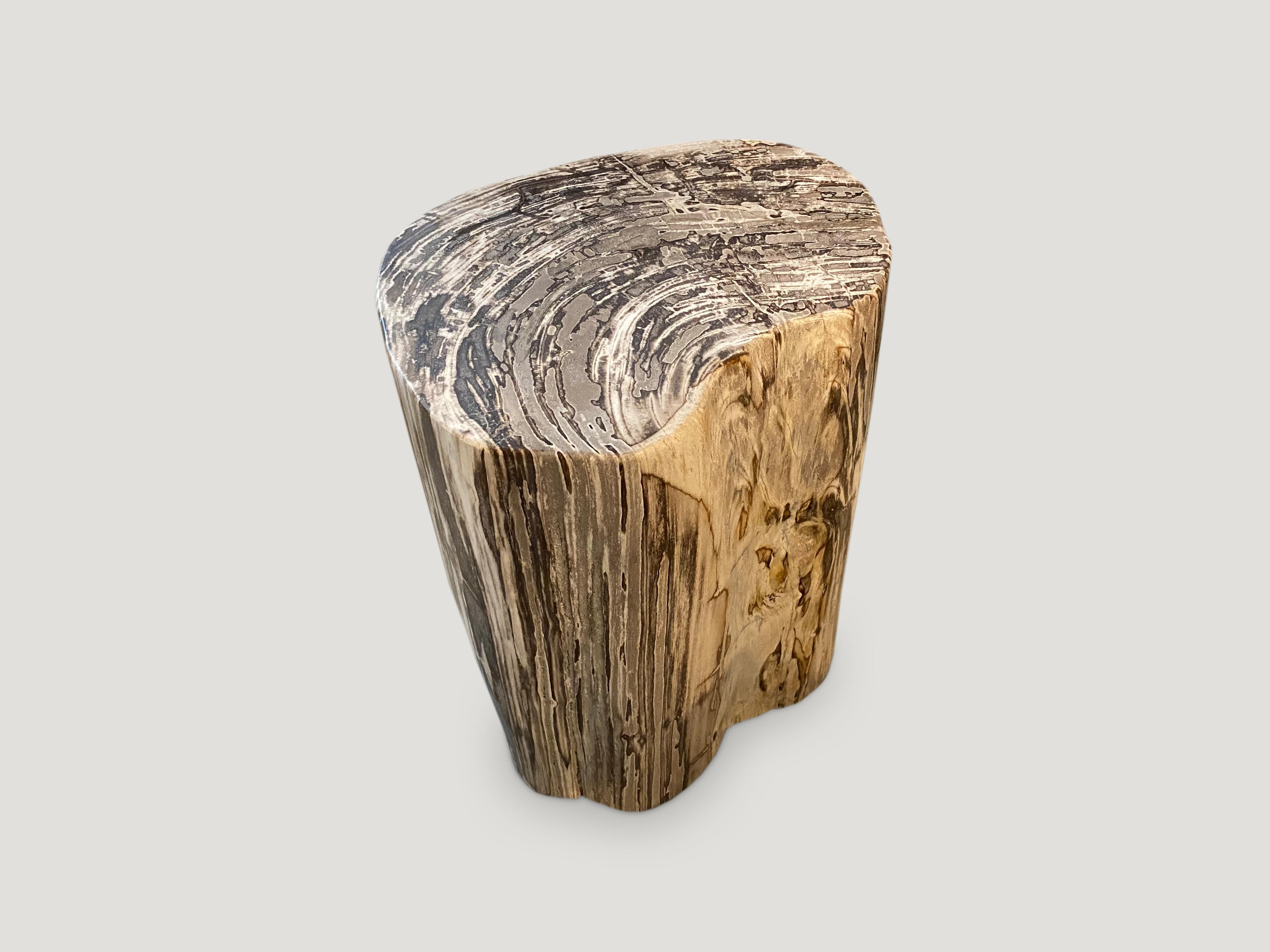 Impressive super smooth high quality petrified wood side table. It’s fascinating how Mother Nature produces these exquisite 40 million year old petrified teak logs with such contrasting colors and natural patterns throughout. Modern yet with so much