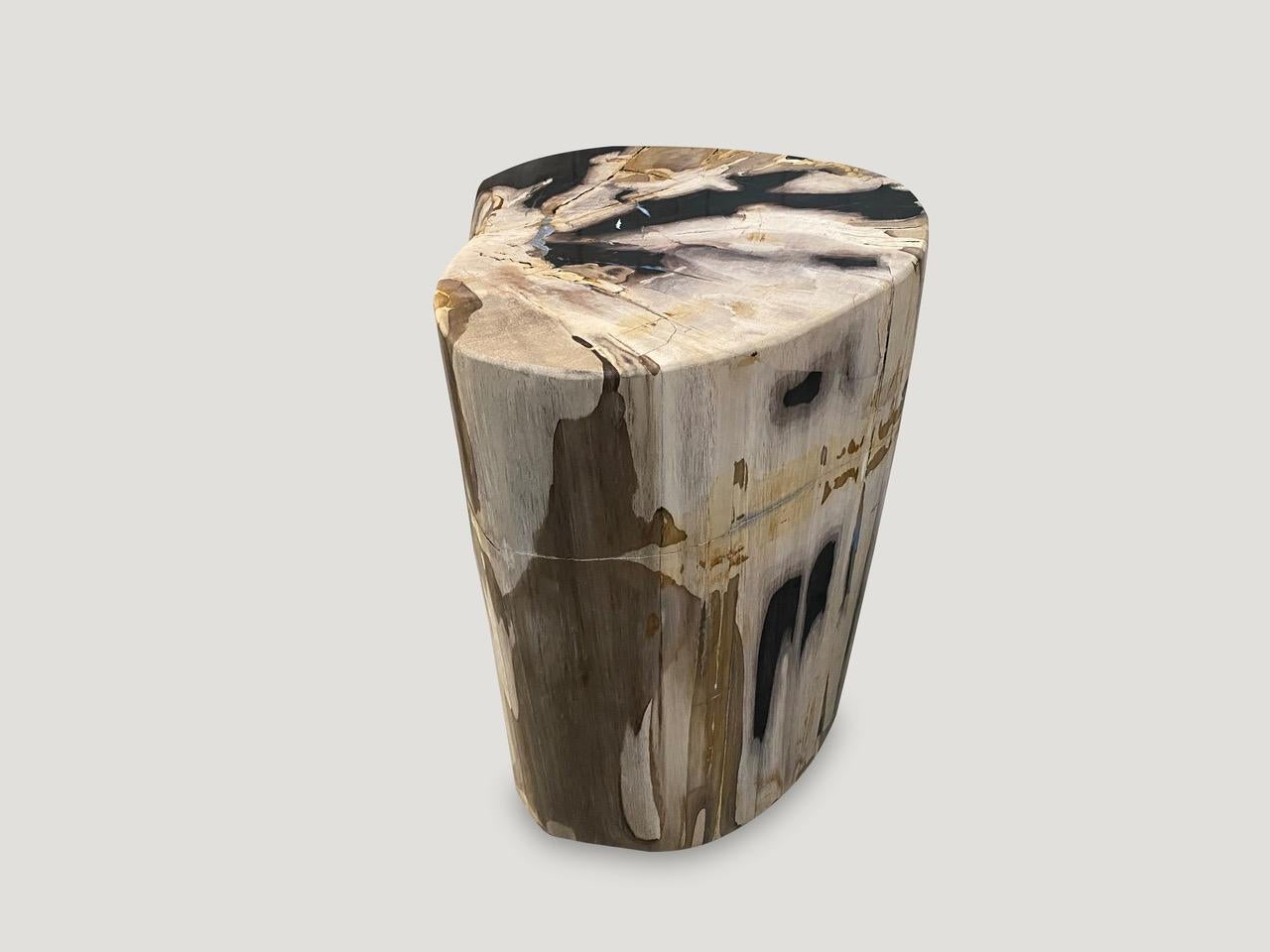 High quality petrified wood side table. It’s fascinating how Mother Nature produces these exquisite 40 million year old petrified teak logs with such contrasting colors and natural patterns throughout. Modern yet with so much history. 

As with a
