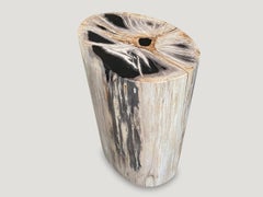 Andrianna Shamaris High Quality Petrified Wood Side Table