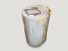 Andrianna Shamaris High Quality Petrified Wood Side Table