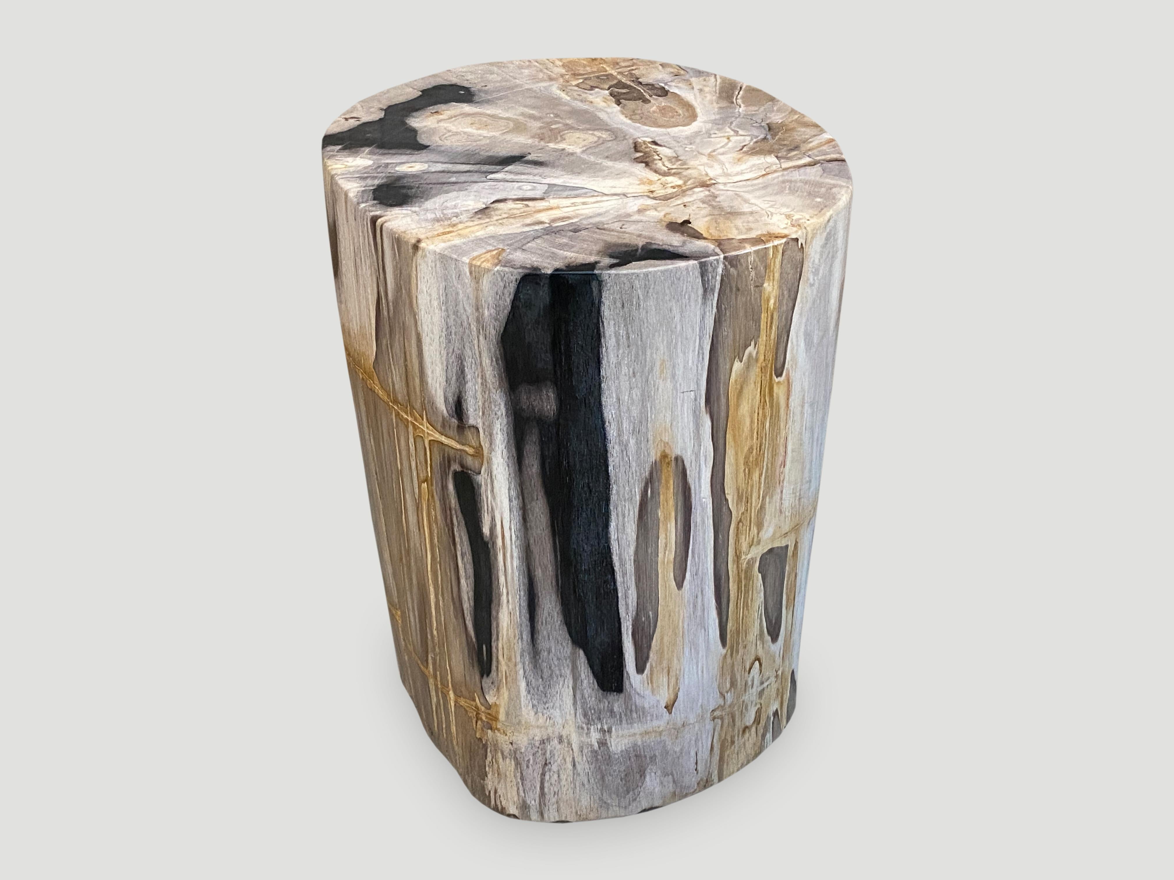 High quality petrified wood side table. It’s fascinating how Mother Nature produces these exquisite 40 million year old petrified teak logs with such contrasting colors and natural patterns throughout. Modern yet with so much history. We have a pair