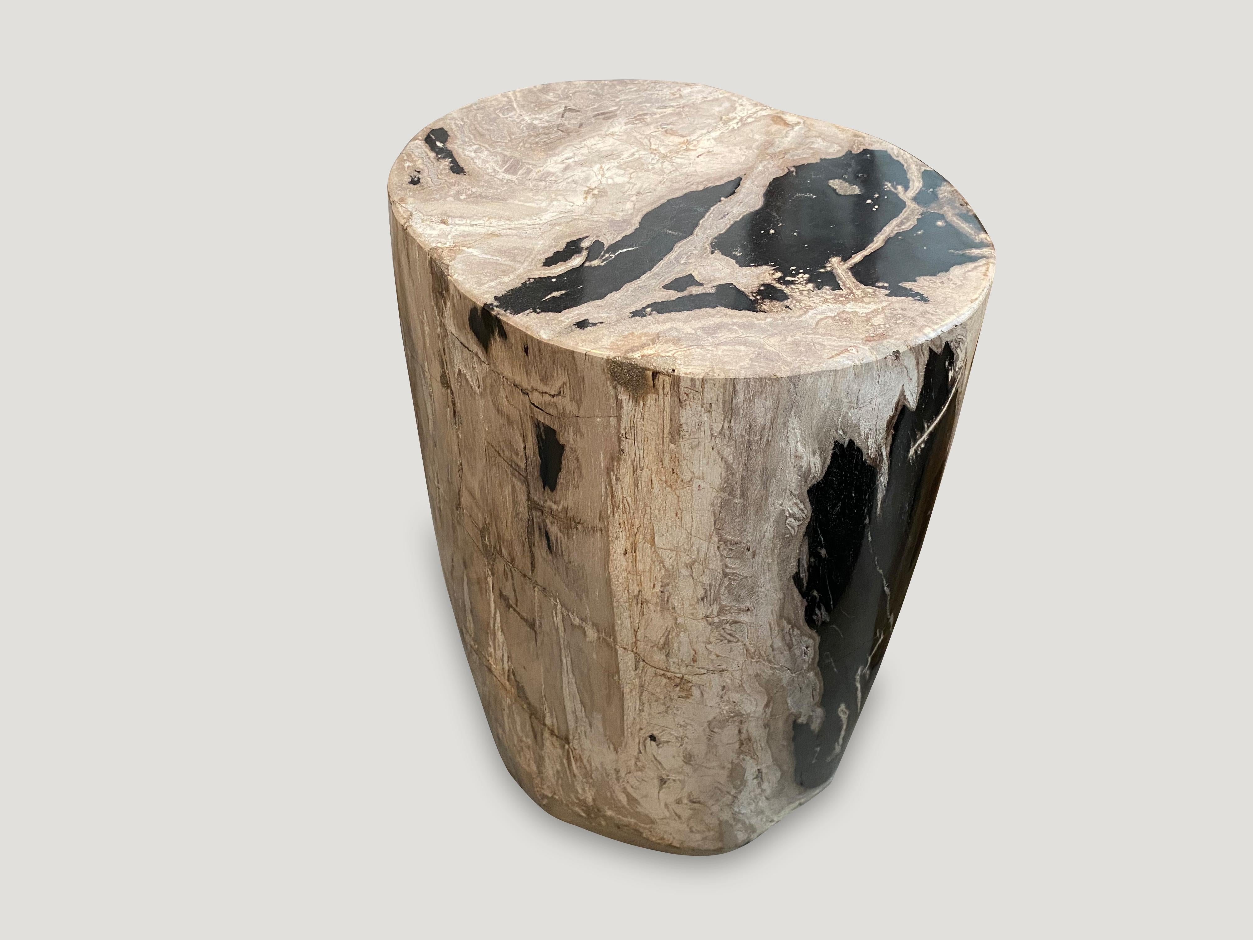 Beige and black high quality petrified wood side table. It’s fascinating how Mother Nature produces these exquisite 40 million year old petrified teak logs with such contrasting colors and natural patterns throughout. Modern yet with so much