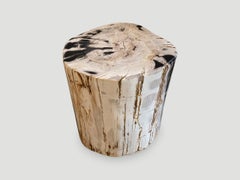Andrianna Shamaris High Quality Petrified Wood Side Table