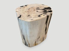Andrianna Shamaris High Quality Petrified Wood Side Table