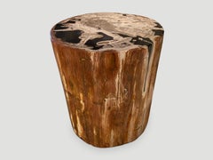 Andrianna Shamaris High Quality Petrified Wood Side Table
