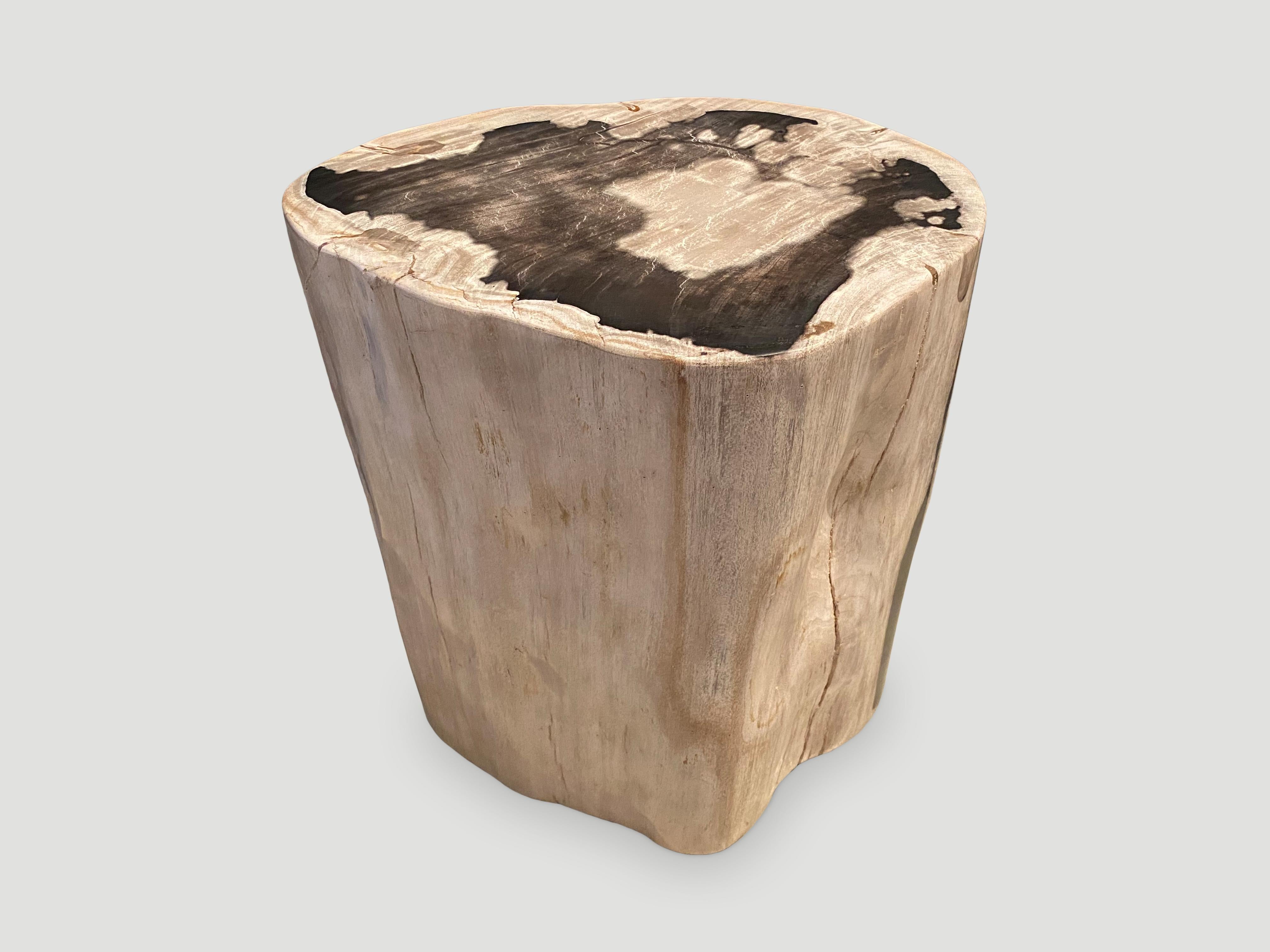 Beautiful markings and contrasting tones on this high quality petrified wood side table.

As with a diamond, we polish the highest quality fossilized petrified wood, using our latest ground breaking technology, to reveal its natural beauty and