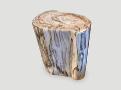 Andrianna Shamaris High Quality Petrified Wood Side Table
