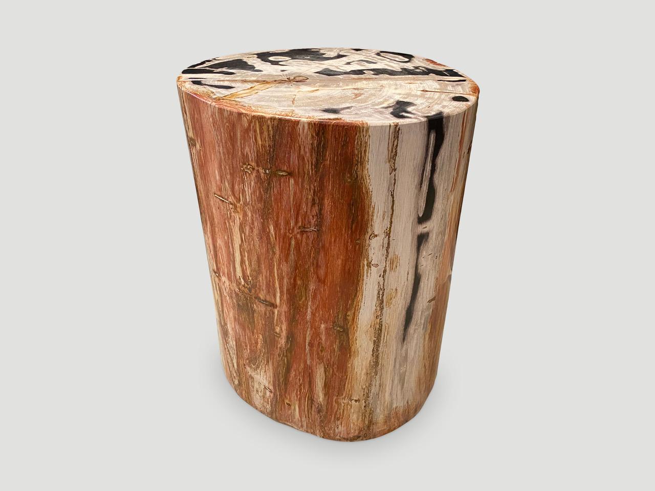Stunning unusual colors in this beautiful petrified wood side table. It’s fascinating how Mother Nature produces these exquisite 40 million year old petrified teak logs with such contrasting colors and natural patterns throughout. Modern yet with so