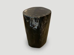 Andrianna Shamaris High Quality Petrified Wood Side Table