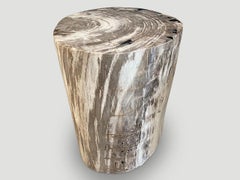 Andrianna Shamaris High Quality Petrified Wood Side Table