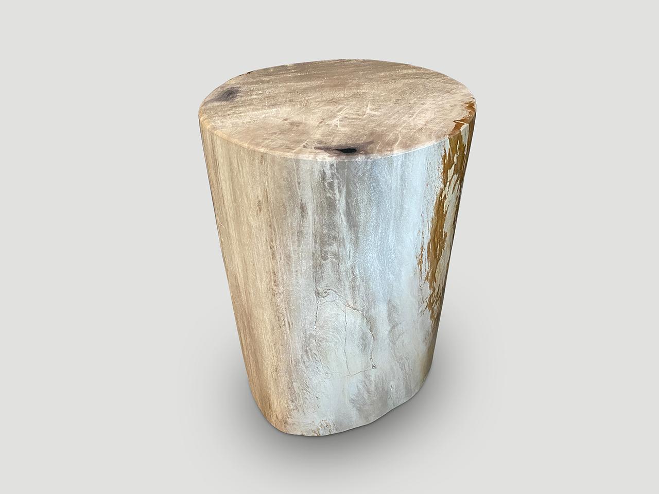 Beautiful petrified wood side table. It’s fascinating how Mother Nature produces these stunning 40 million year old petrified teak logs with such contrasting colors and natural patterns throughout. Modern yet with so much history.

As with a