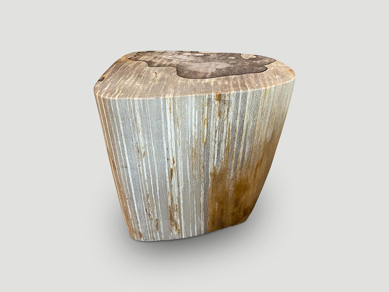 Beautiful minimalist petrified wood side table with stunning markings. It’s fascinating how Mother Nature produces these stunning 40 million year old petrified teak logs with such contrasting colors and natural patterns throughout. Modern yet with
