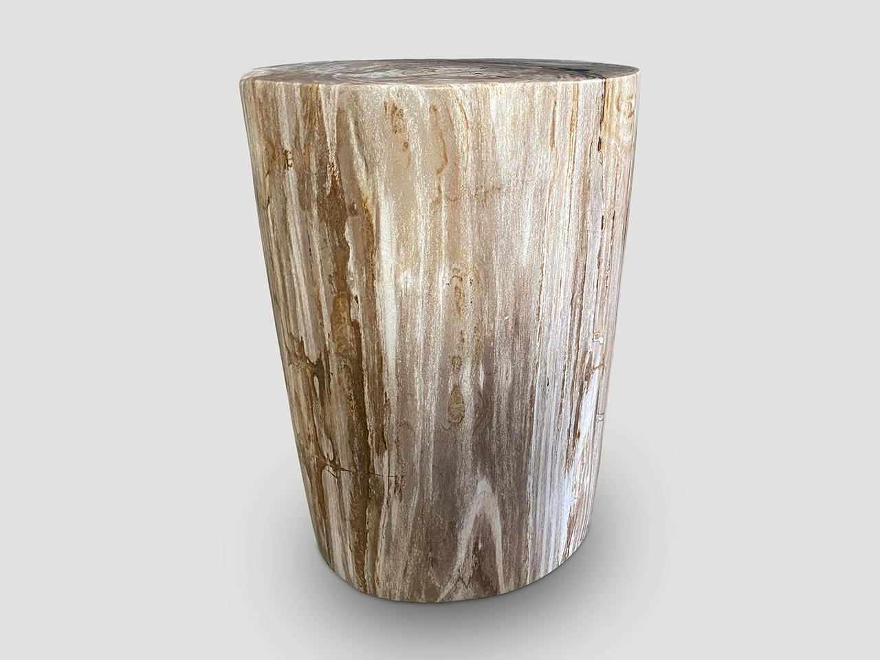 Beautiful tones and markings on this high quality petrified wood side table. It’s fascinating how Mother Nature produces these exquisite 40 million year old petrified teak logs with such contrasting colors and natural patterns throughout. Modern yet