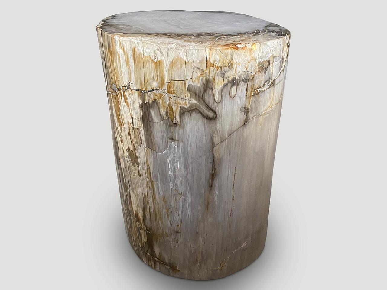 Beautiful grey tones and markings on this high quality petrified wood side table. It’s fascinating how Mother Nature produces these exquisite 40 million year old petrified teak logs with such contrasting colors and natural patterns throughout.