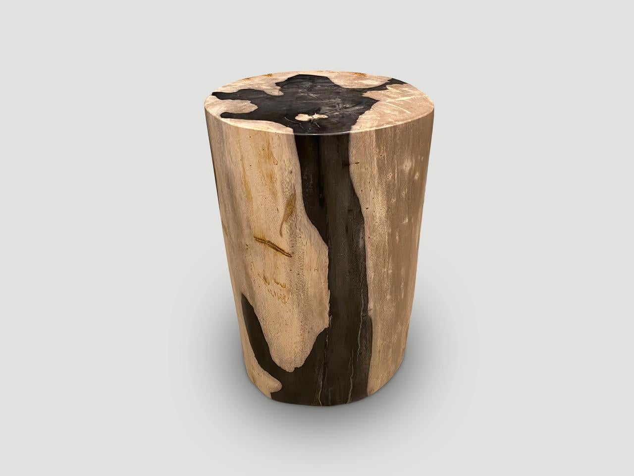 Beautiful petrified wood side table with fabulous contrasting markings reminiscent of a Matisse. It’s fascinating how Mother Nature produces these stunning 40 million year old petrified teak logs with such contrasting colors and natural patterns