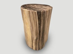 Andrianna Shamaris High Quality Petrified Wood Side Table