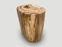 Andrianna Shamaris High Quality Petrified Wood Side Table