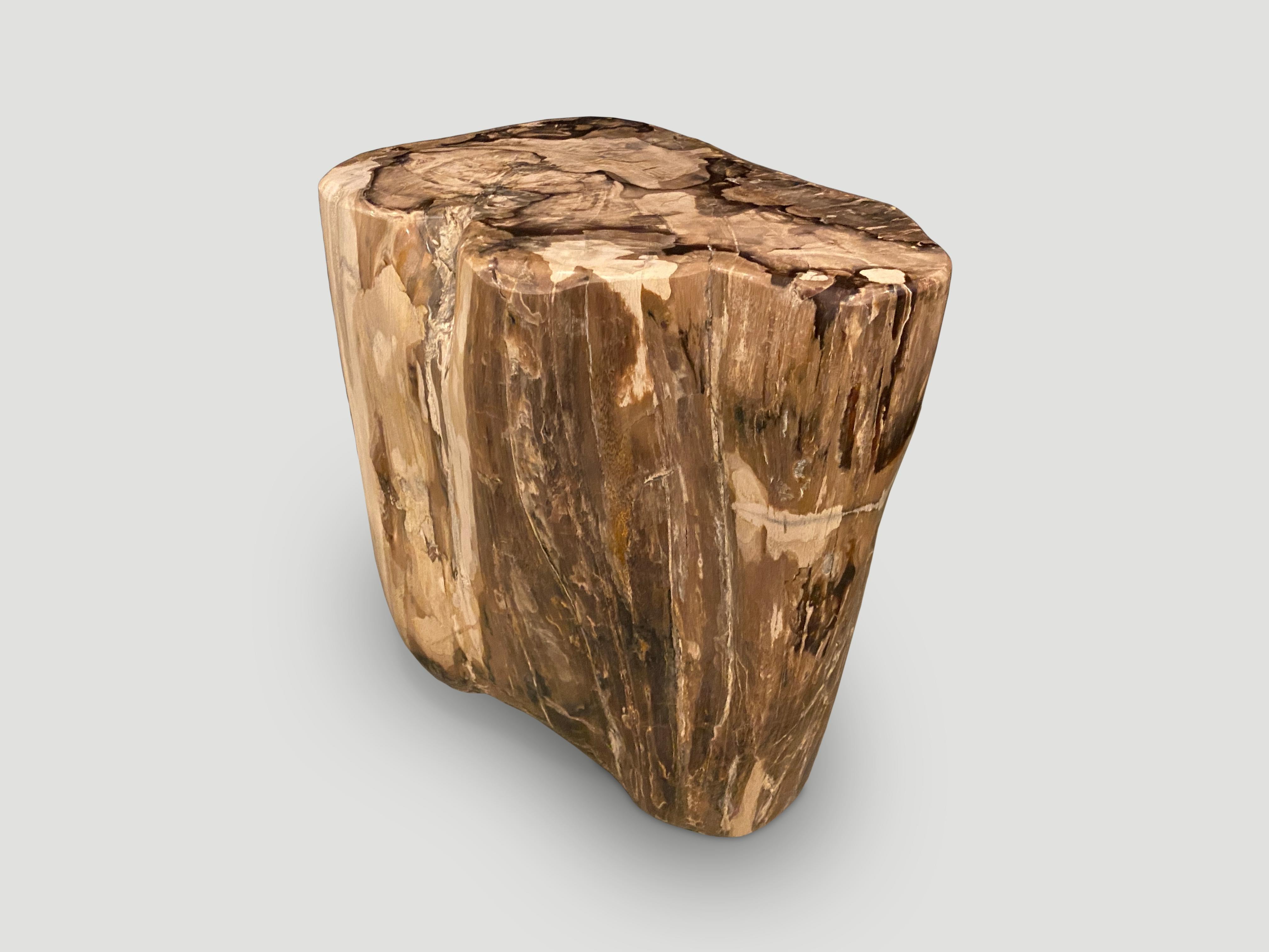 Beautiful earth tones in this petrified wood side table. It’s fascinating how Mother Nature produces these exquisite 40 million year old petrified teak logs with such contrasting colors and natural patterns throughout. Modern yet with so much