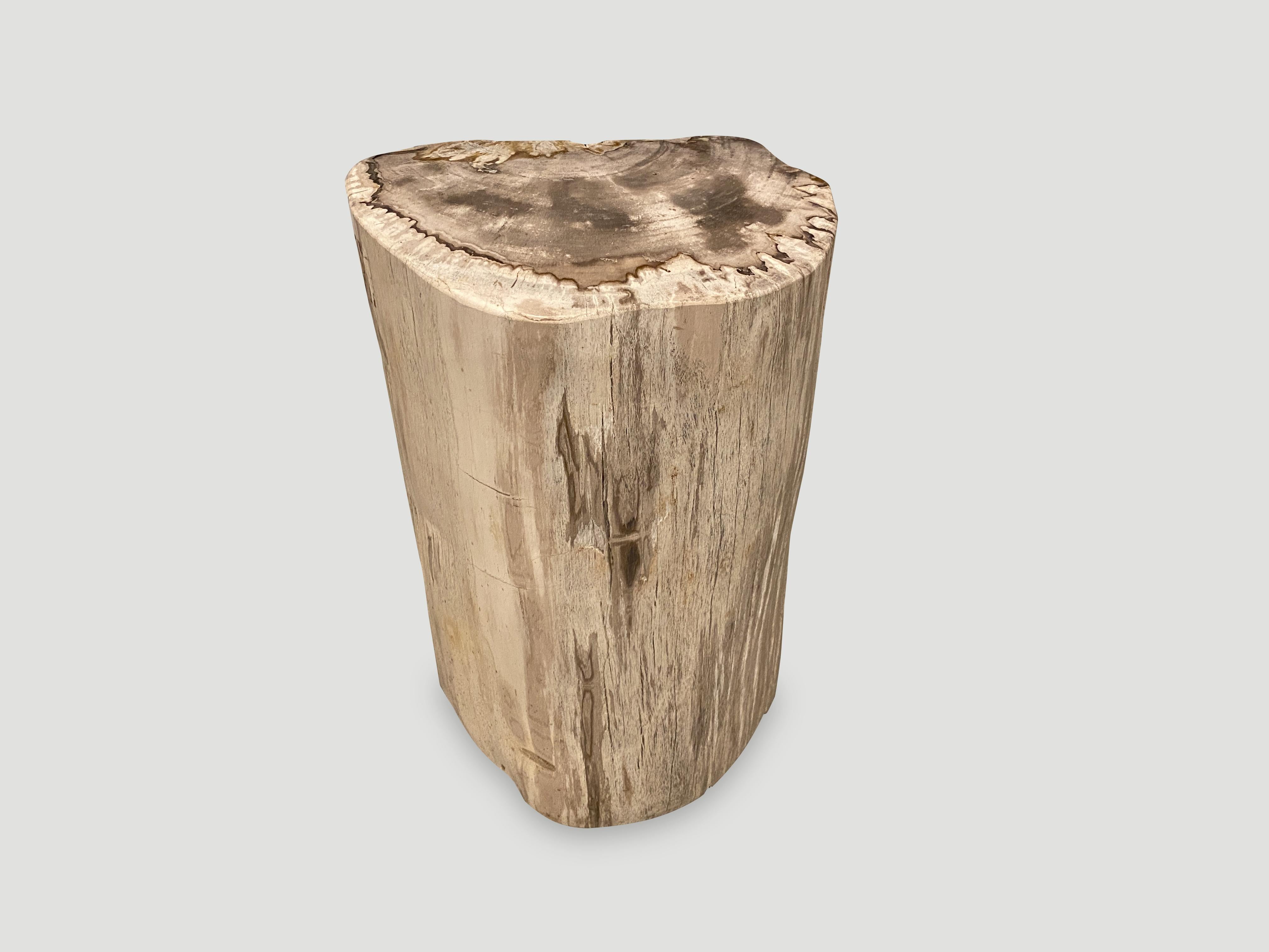 Beautiful neutral tones on this high quality petrified wood side table. It’s fascinating how Mother Nature produces these exquisite 40 million year old petrified teak logs with such contrasting colors and natural patterns throughout. Modern yet with