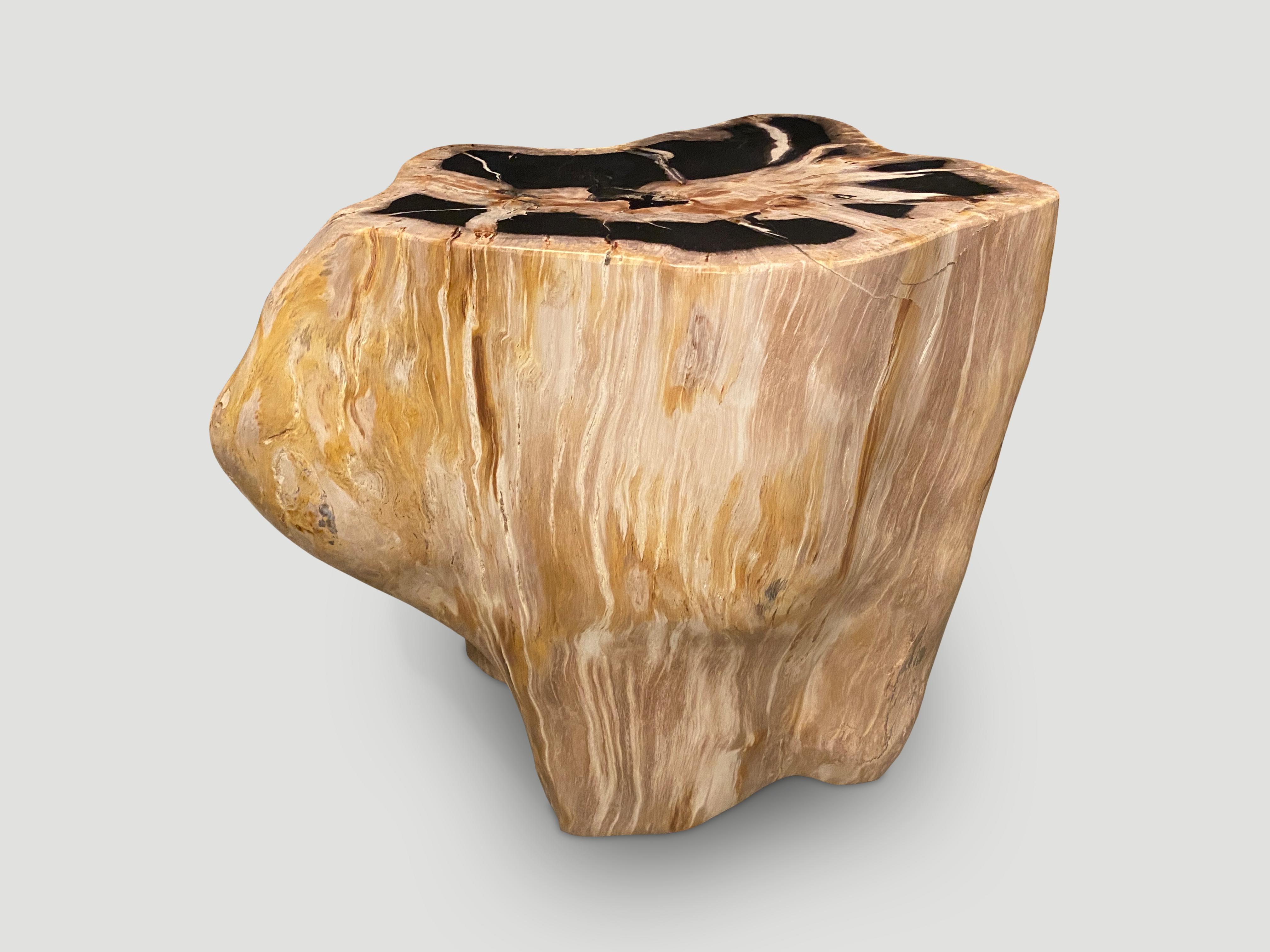 Beautiful contrasting tones and markings on this high quality petrified wood side table. It’s fascinating how Mother Nature produces these stunning 40 million year old petrified teak logs with such contrasting colors and natural patterns throughout.