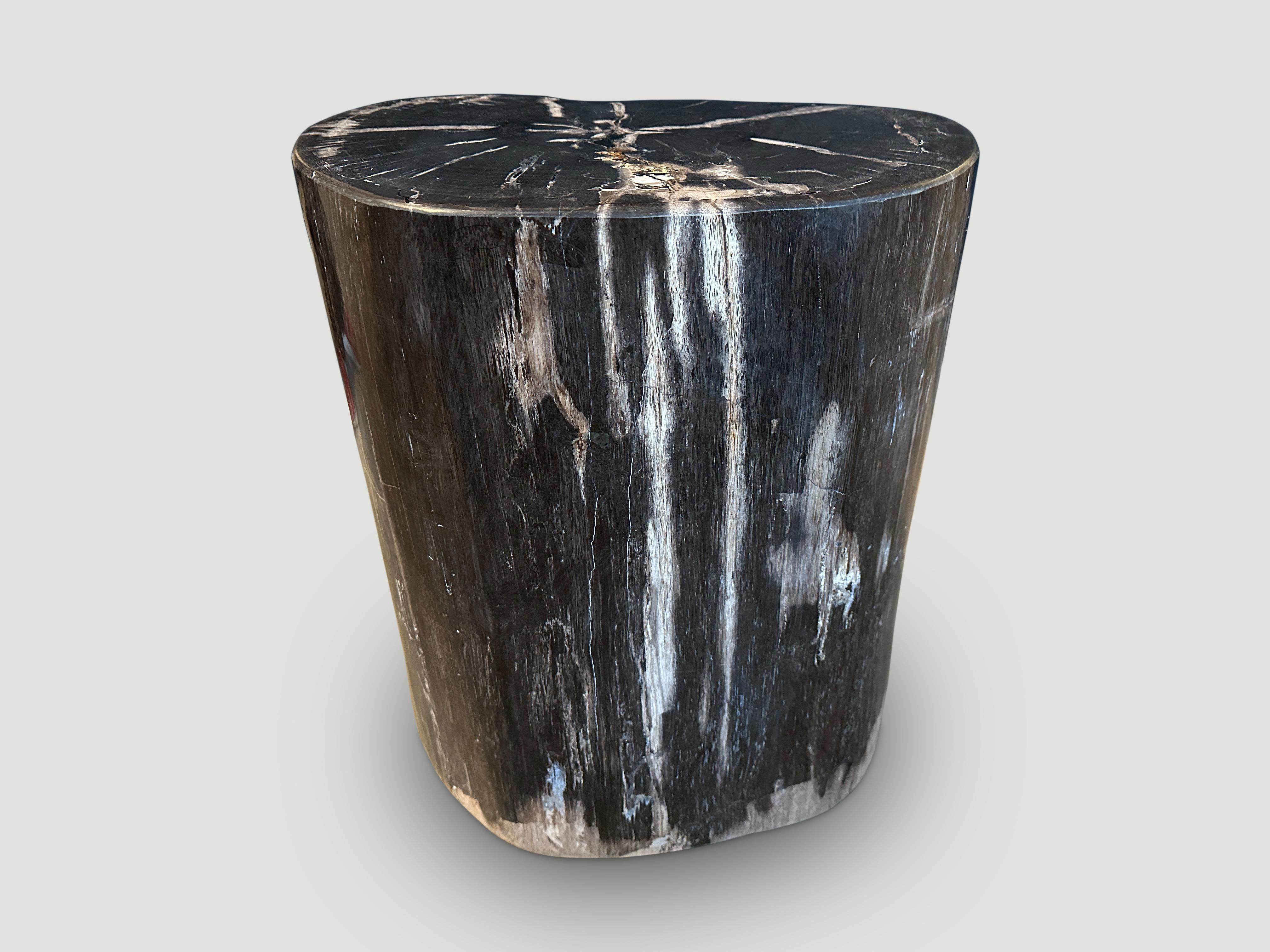 Beautiful tones and markings on this high quality petrified wood side table. It’s fascinating how Mother Nature produces these exquisite 40 million year old petrified teak logs with such contrasting colors and natural patterns throughout. Modern yet