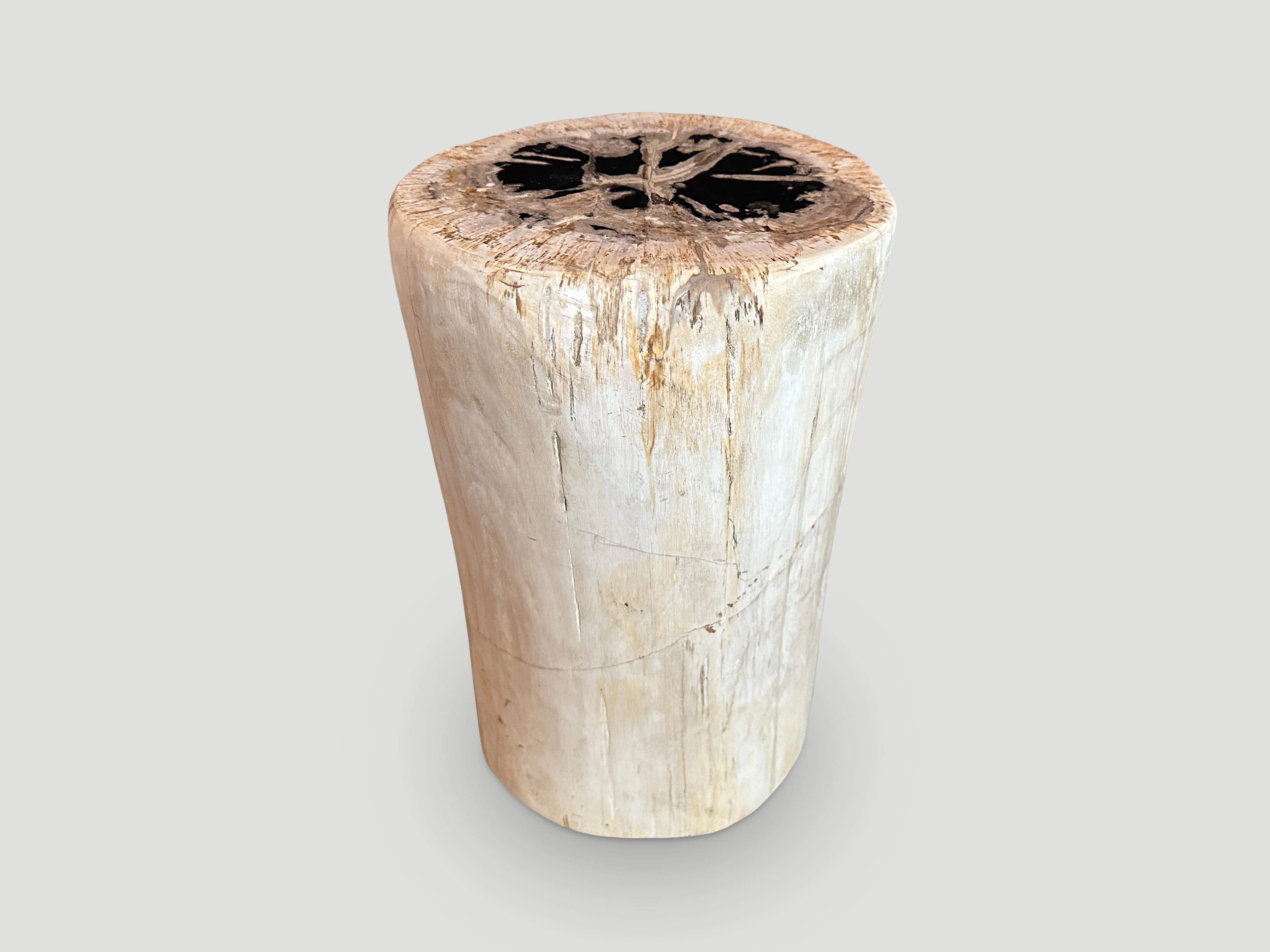 Beautiful contrasting tones on this high quality petrified wood side table. It’s fascinating how Mother Nature produces these exquisite 40 million year old petrified teak logs with such contrasting colors and natural patterns throughout. Modern yet
