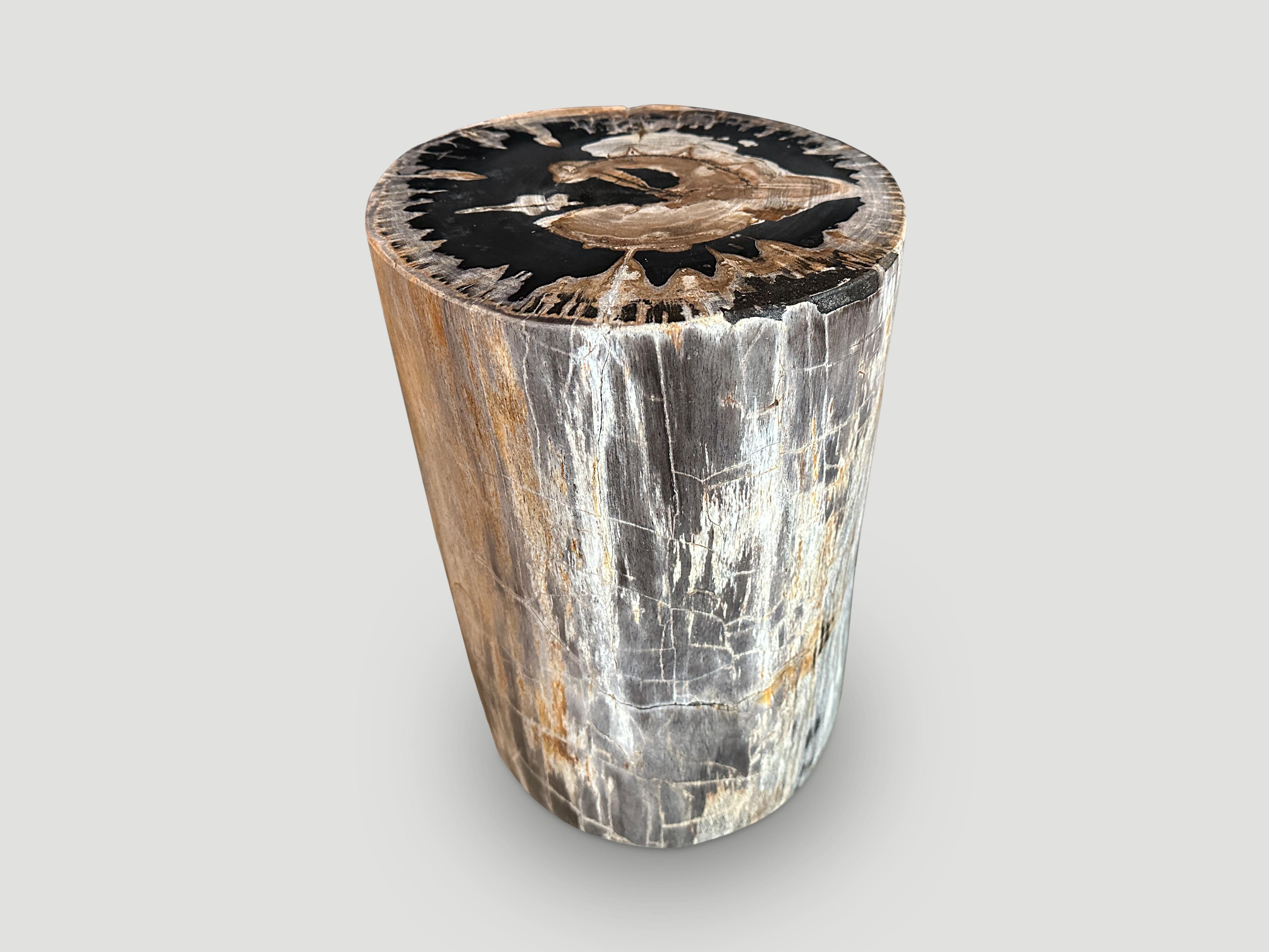 Beautiful tones and markings on this high quality petrified wood side table. It’s fascinating how Mother Nature produces these exquisite 40 million year old petrified teak logs with such contrasting colors and natural patterns throughout. Modern yet