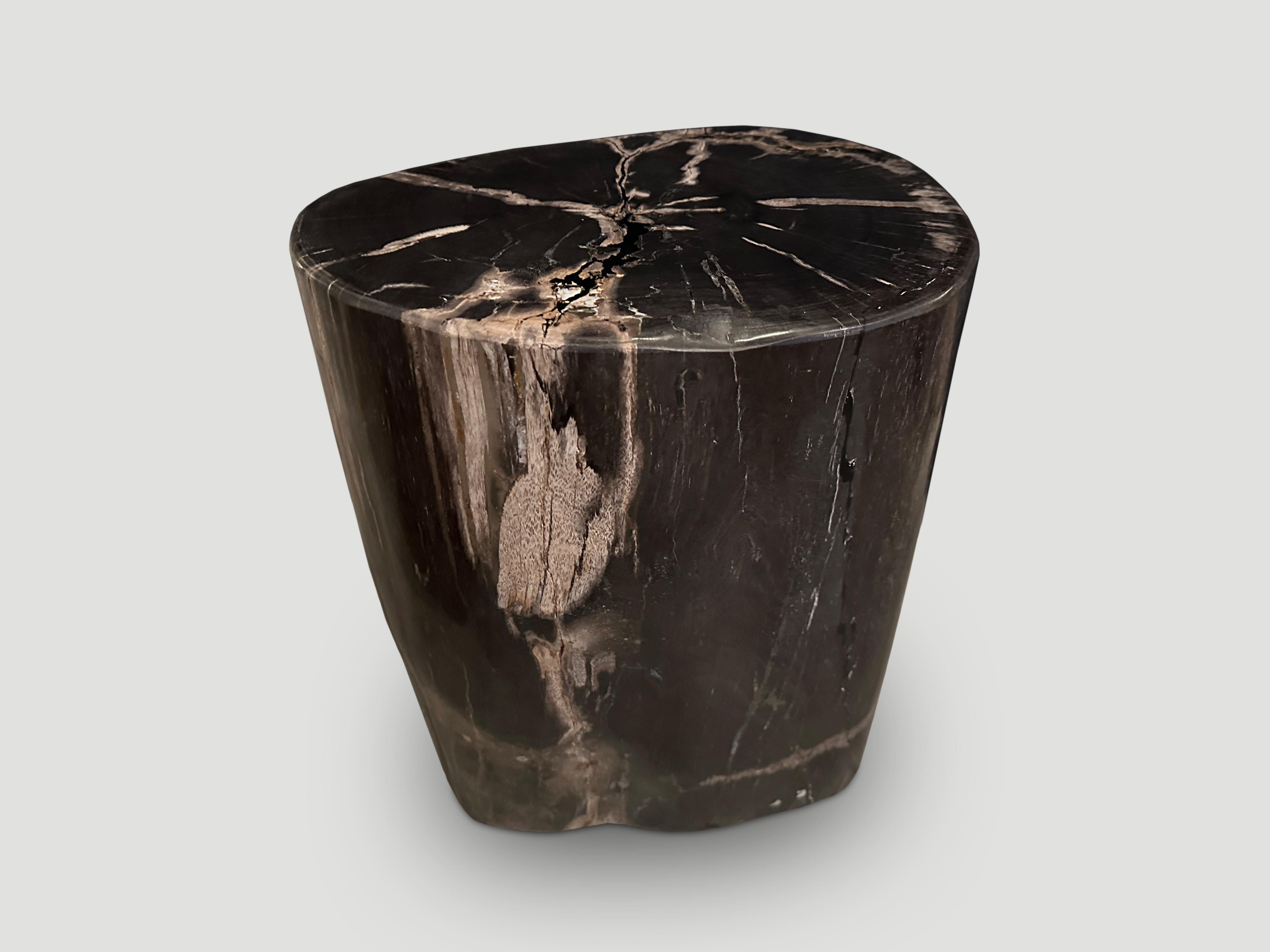 High quality petrified wood side table. It’s fascinating how Mother Nature produces these stunning 40 million year old petrified teak logs with such contrasting colors and natural patterns throughout. Modern yet with so much history.

As with a