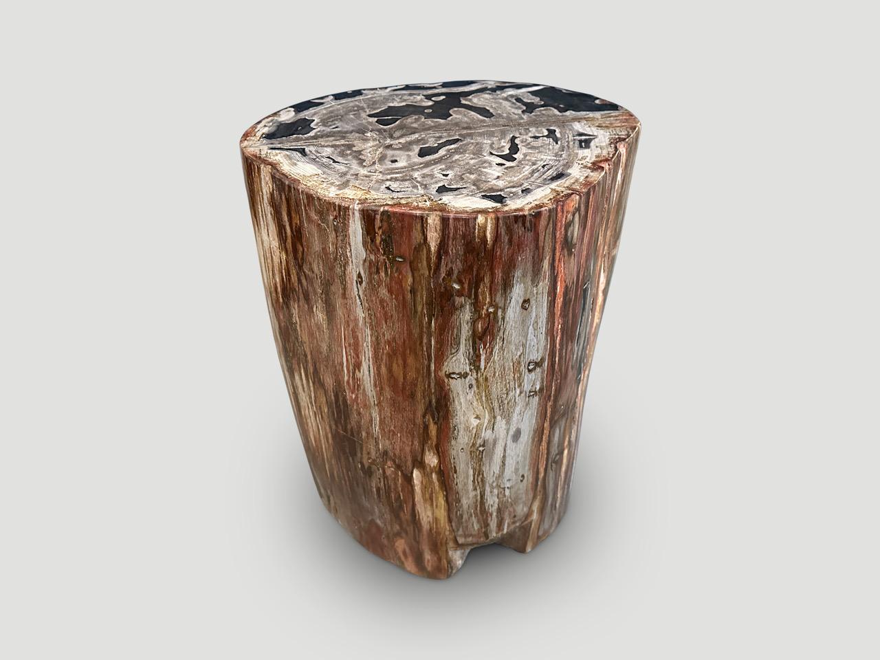 Stunning unusual colors in this beautiful petrified wood side table. It’s fascinating how Mother Nature produces these exquisite 40 million year old petrified teak logs with such contrasting colors and natural patterns throughout. Modern yet with so