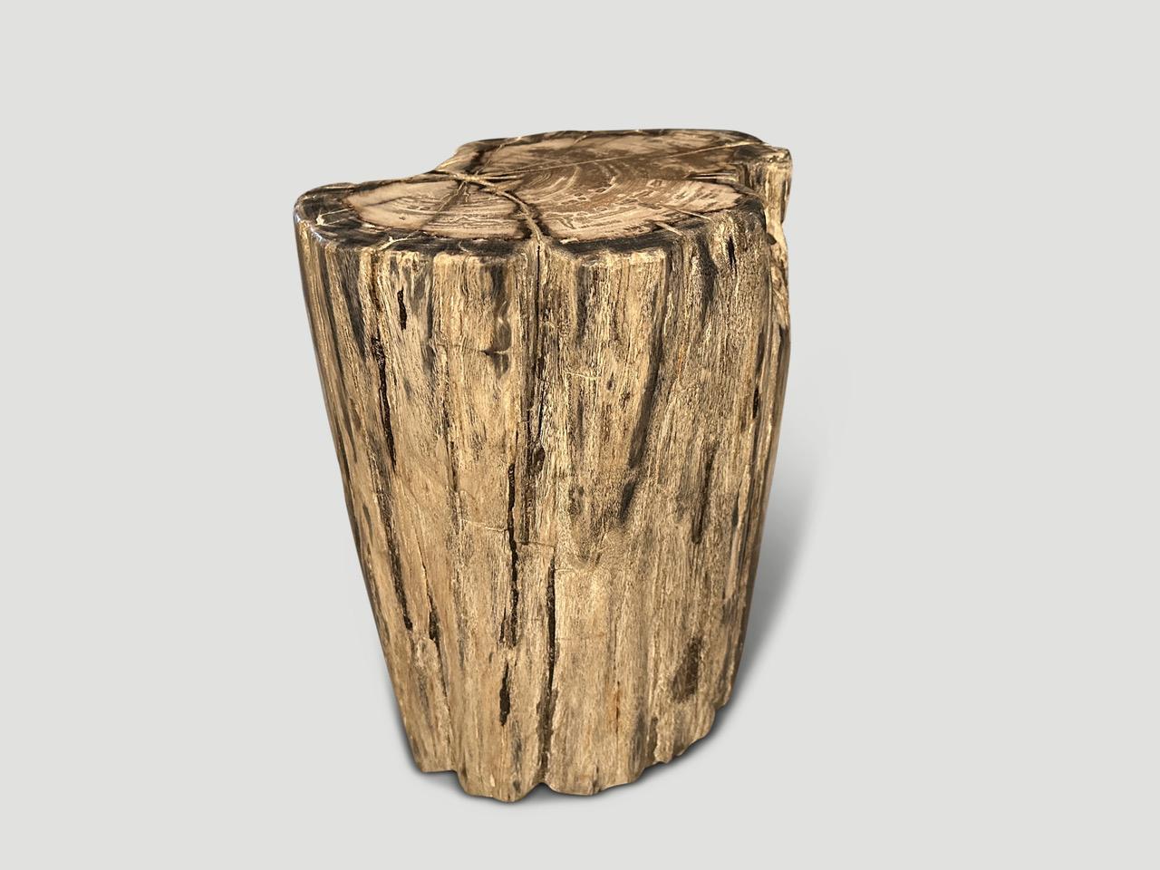 Beautiful charcoal tones and markings on this high quality petrified wood side table. It’s fascinating how Mother Nature produces these exquisite 40 million year old petrified teak logs with such contrasting colors and natural patterns throughout.