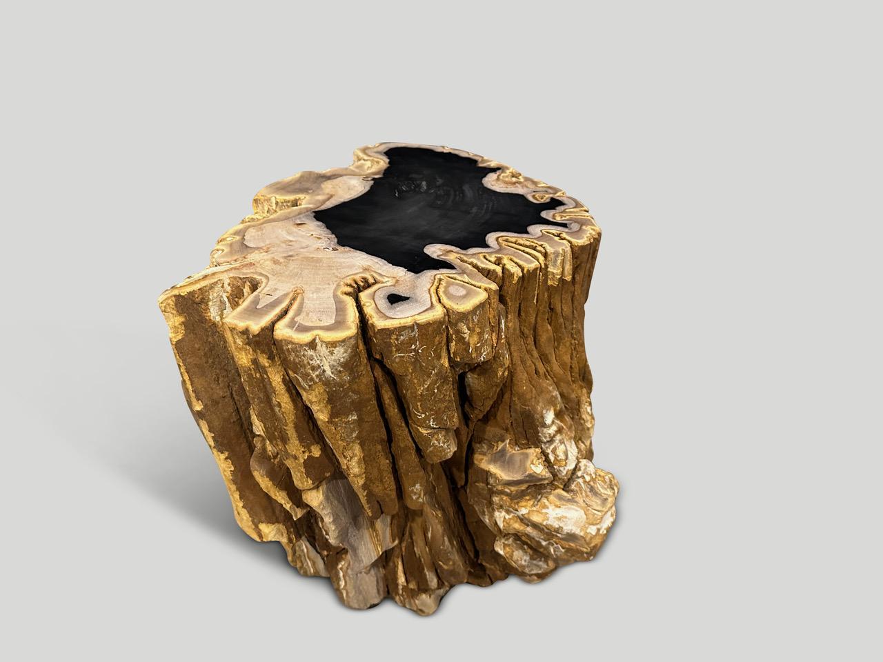 Impressive high quality petrified wood side table. It’s fascinating how Mother Nature produces these stunning 40 million year old petrified teak logs with such contrasting colors and natural patterns throughout. Modern yet with so much history. This