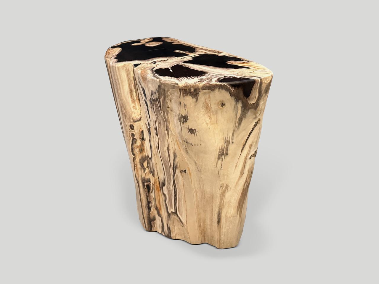 Impressive beautiful contrasting tones on this high quality petrified wood side table. It’s fascinating how Mother Nature produces these stunning 40 million year old petrified teak logs with such contrasting colors and natural patterns throughout.