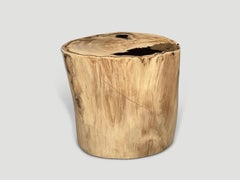 Andrianna Shamaris High Quality Petrified Wood Side Table