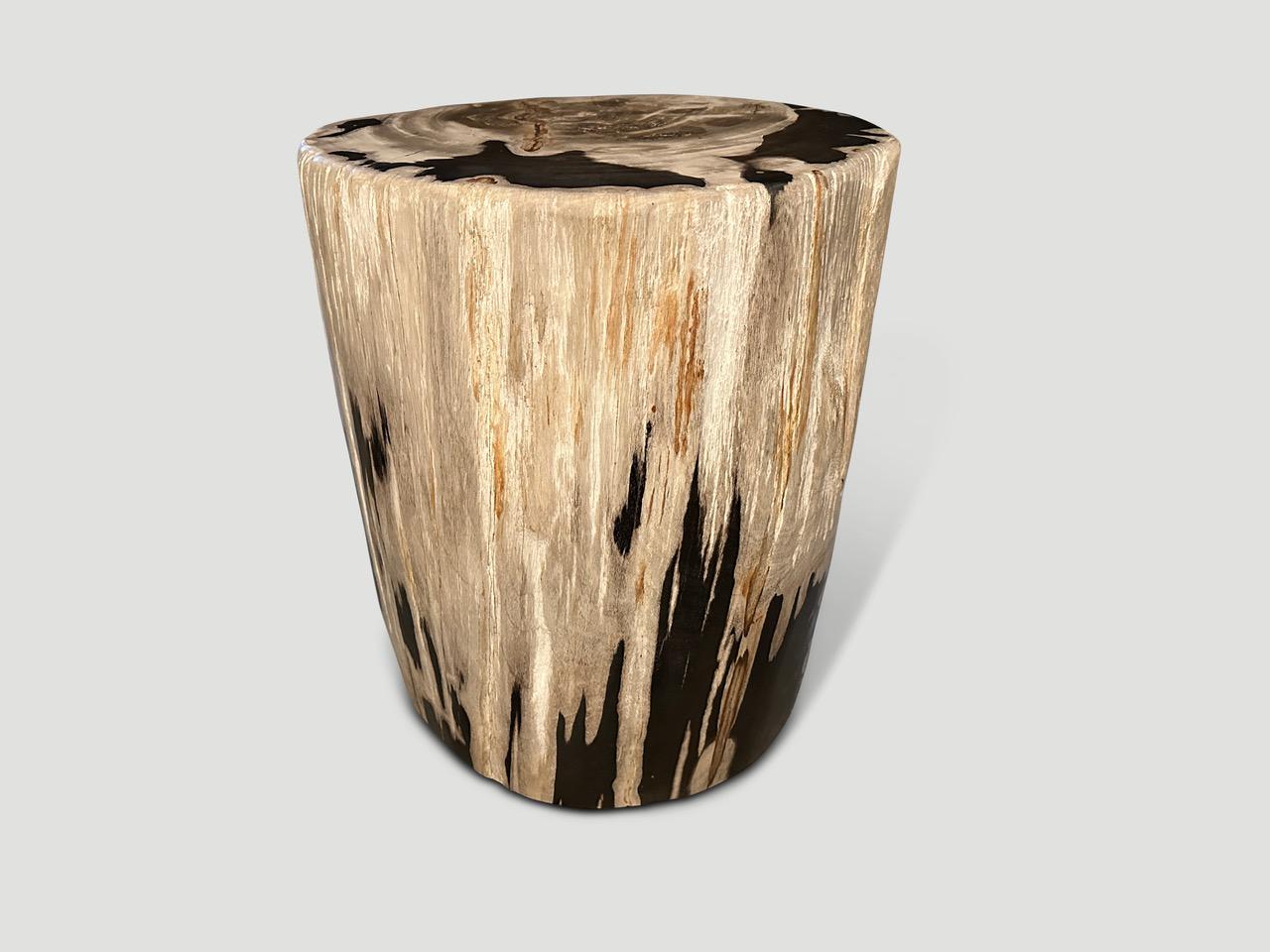 Impressive beautiful tones on this high quality super smooth, tall petrified wood side table or pedestal. It’s fascinating how Mother Nature produces these stunning 40 million year old petrified teak logs with such contrasting colors and natural