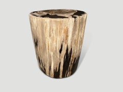 Andrianna Shamaris High Quality Petrified Wood Side Table