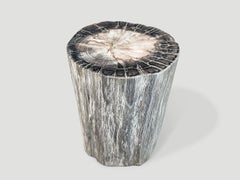 Andrianna Shamaris High Quality Petrified Wood Side Table