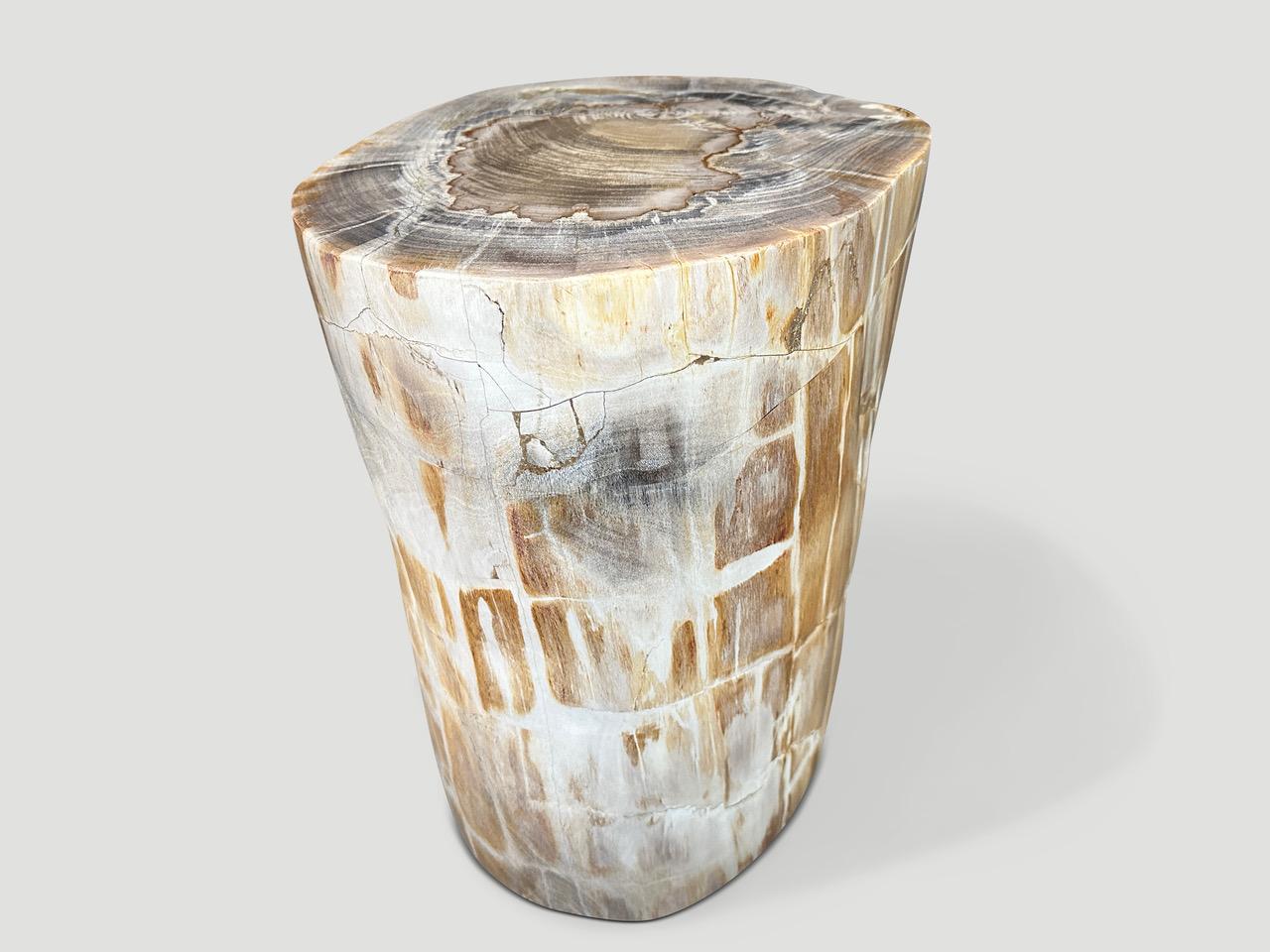 Impressive beautiful tones on this high quality super smooth, tall petrified wood side table or pedestal. It’s fascinating how Mother Nature produces these stunning 40 million year old petrified teak logs with such contrasting colors and natural