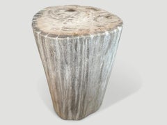 Andrianna Shamaris High Quality Petrified Wood Side Table