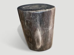 Andrianna Shamaris High Quality Petrified Wood Side Table