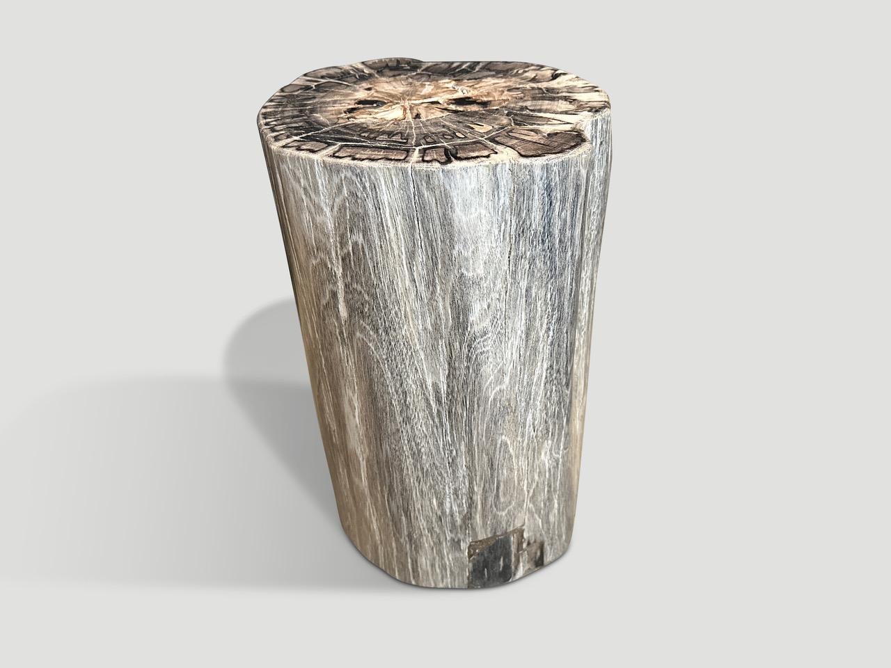 Cette impressionnante table d'appoint en bois pétrifié de haute qualité présente de magnifiques tons gris. Il est fascinant de voir comment Mère Nature produit ces stupéfiants troncs de teck pétrifiés vieux de 40 millions d'années, aux couleurs si