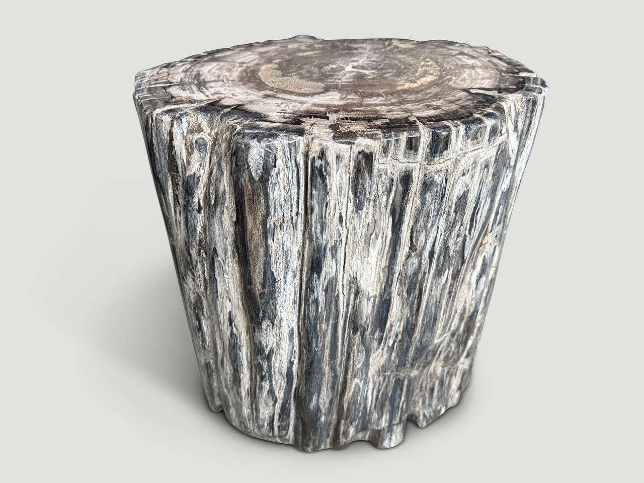 Impressionnante table d'appoint en bois pétrifié aux magnifiques tons gris. Il est fascinant de voir comment Mère Nature produit ces stupéfiants troncs de teck pétrifiés vieux de 40 millions d'années, aux couleurs si contrastées et aux motifs si