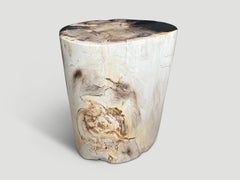 Andrianna Shamaris High Quality Petrified Wood Side Table