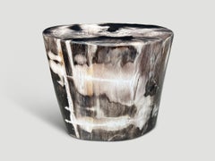 Andrianna Shamaris High Quality Petrified Wood Side Table