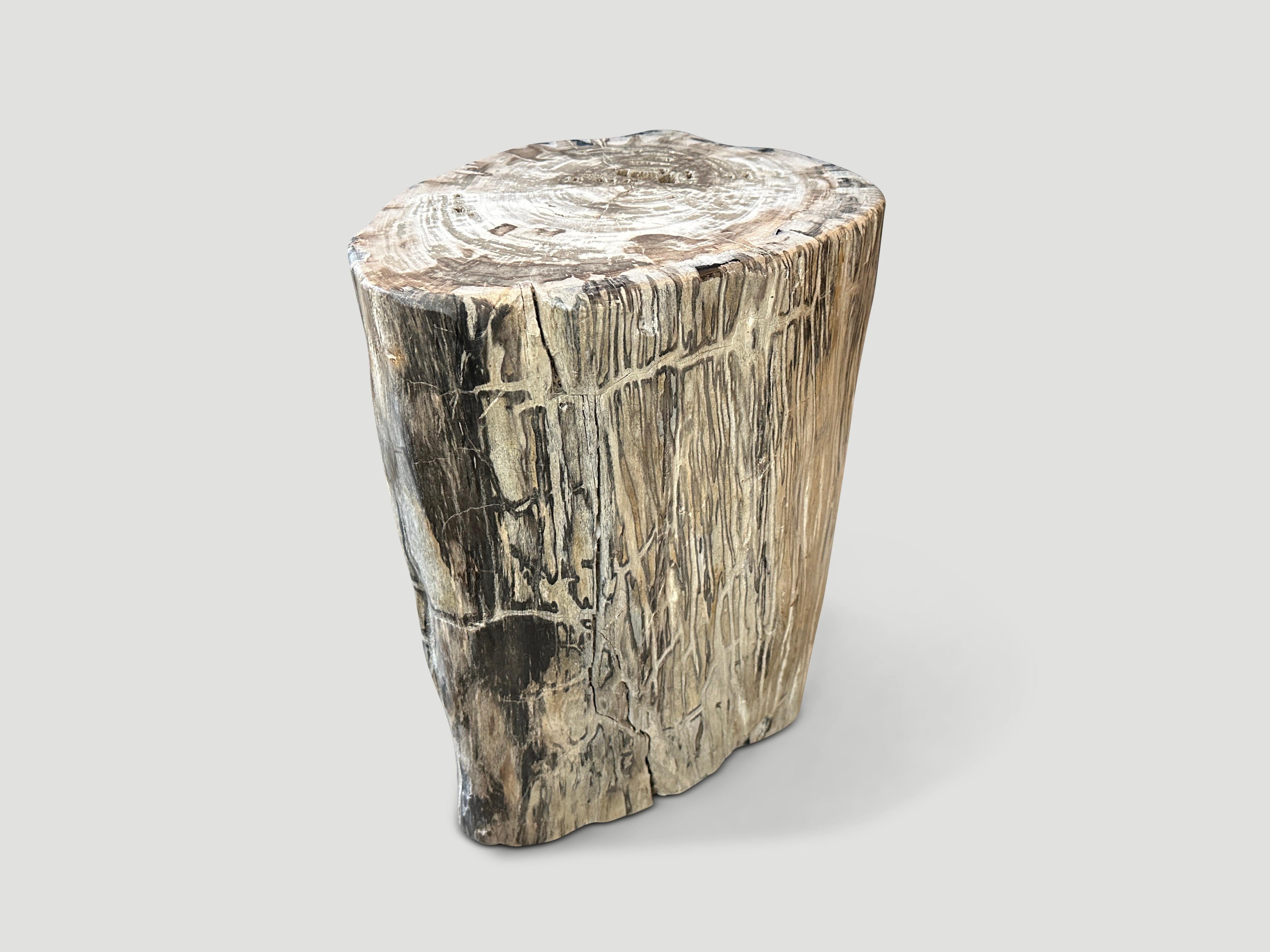 Impressive petrified wood side table with beautiful grey tones. It’s fascinating how Mother Nature produces these stunning 40 million year old petrified teak logs with such contrasting colors and natural patterns throughout. Modern yet with so much