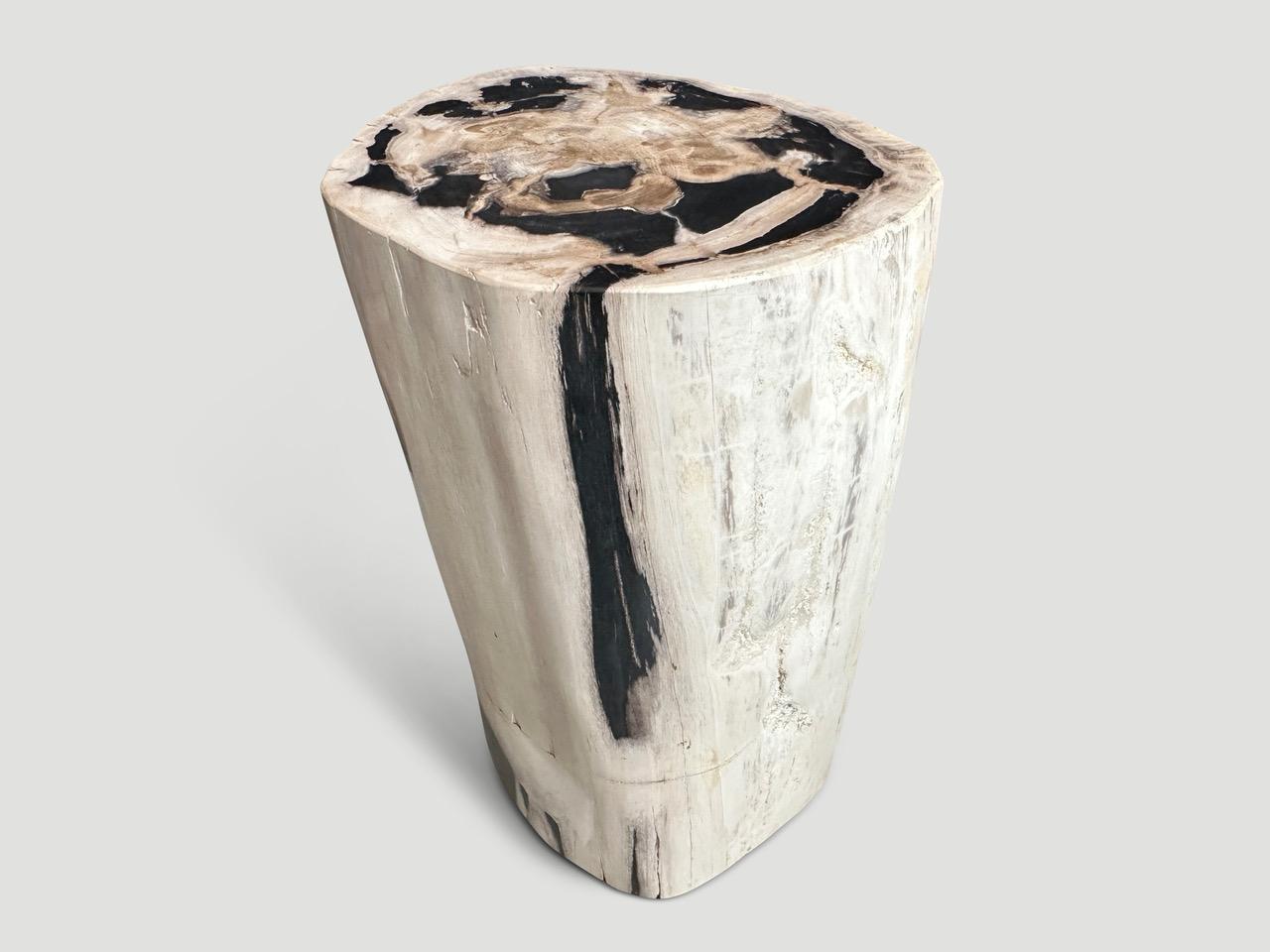 It’s fascinating how Mother Nature produces these stunning 40 million year old petrified teak logs with such contrasting colors and natural patterns throughout. Modern yet with so much history. 

As with a diamond, we polish the highest quality
